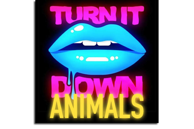 Kaskade vs. Martin Garrix - Turn It Down Animals (Kaskade's Paradiso Mash Up )