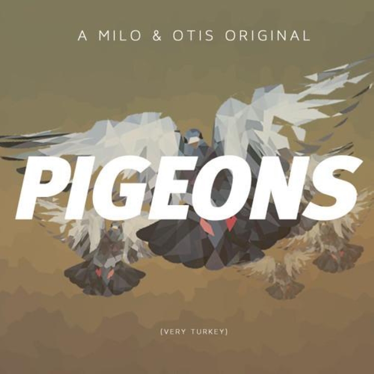 Pigeons Release Artwork