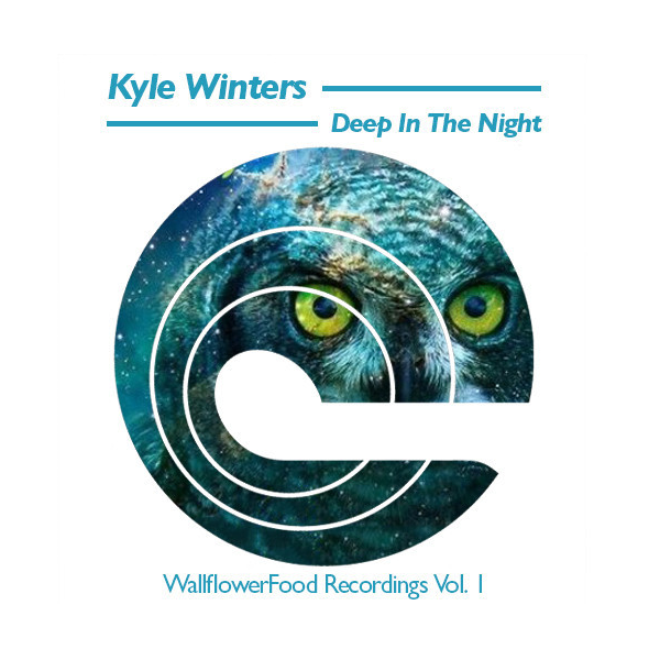 kyle winters - deep in the night - wallflowerfood recordings