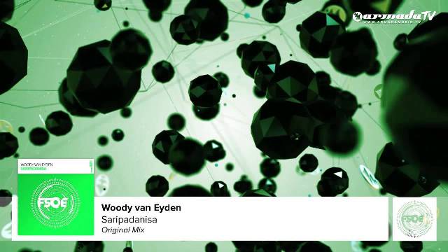 The cover art to the new track from Woody van Eyden, 'Saripadanisa'.