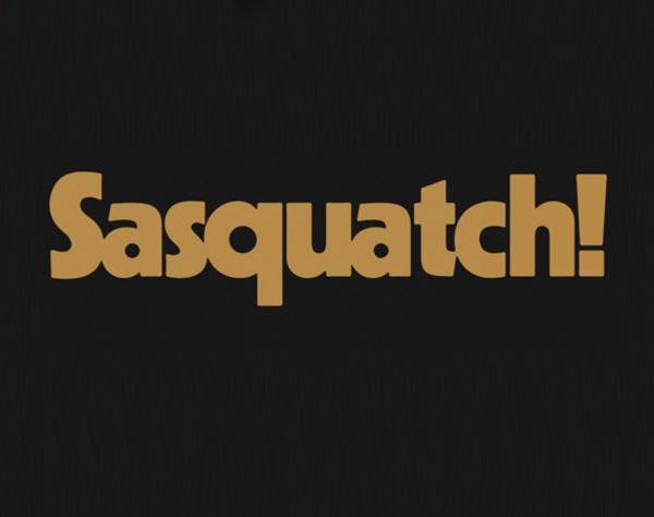 Sasquatch 2014 To Announce Lineup