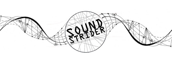 sound strider artwork logo