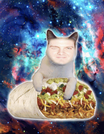 Dillon Francis Cat Burrito Mother Ship Tour 2014 Skrillex