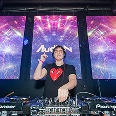 Audien at Paradiso Festival 2014 at The Gorge
