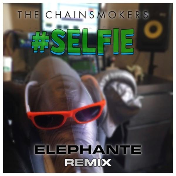 Elephante Remix The Chainsmokers Selfie