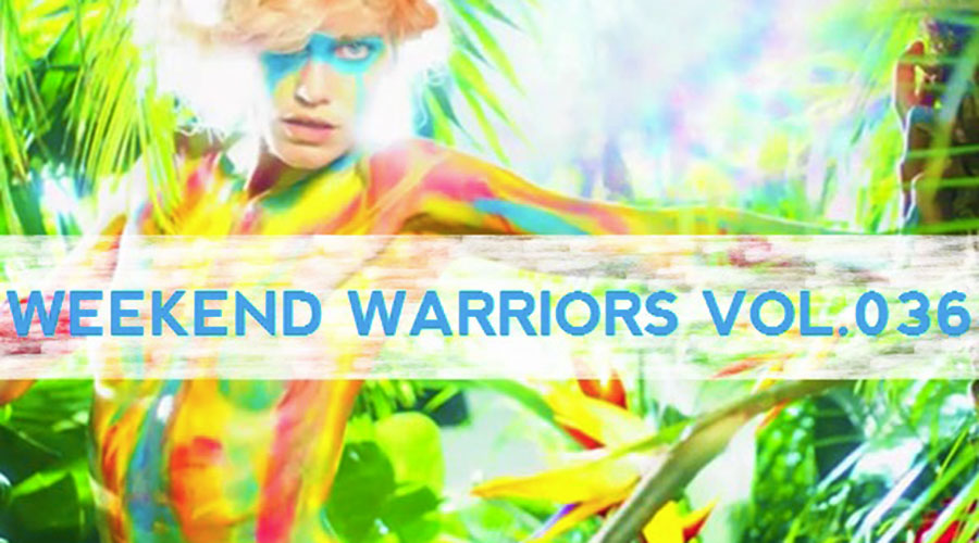 Weekend Warriors - Vol.036 - tropical house