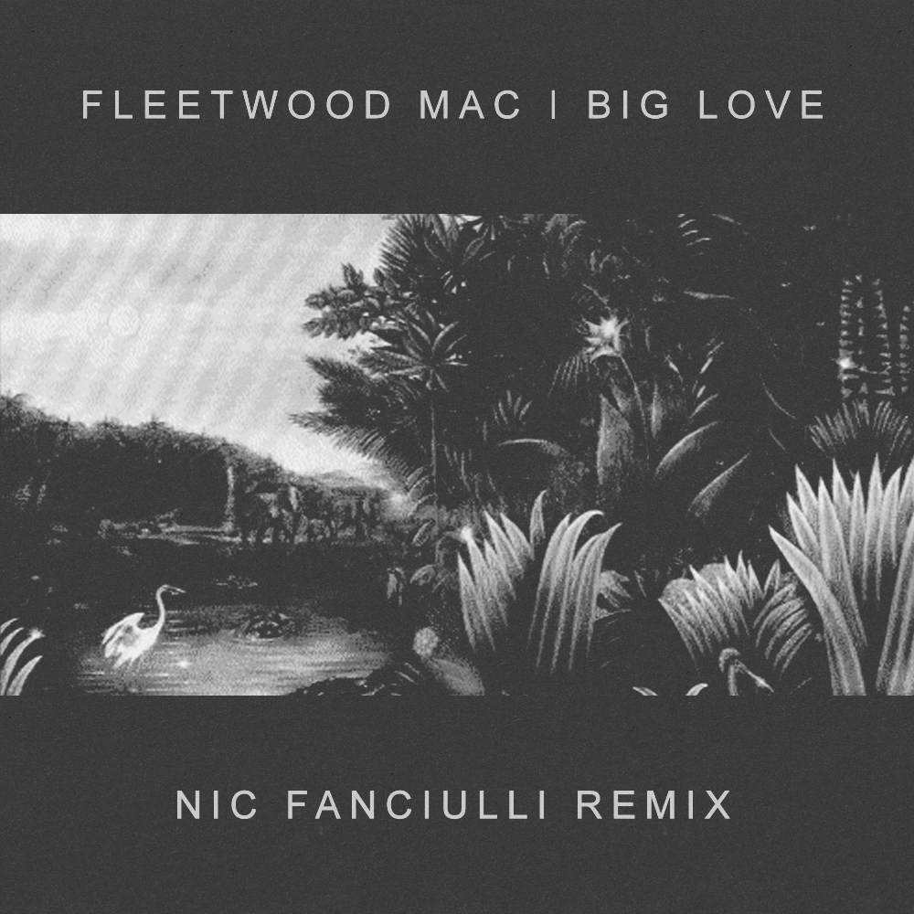 nic fanciulli remix fleetwood mac big love