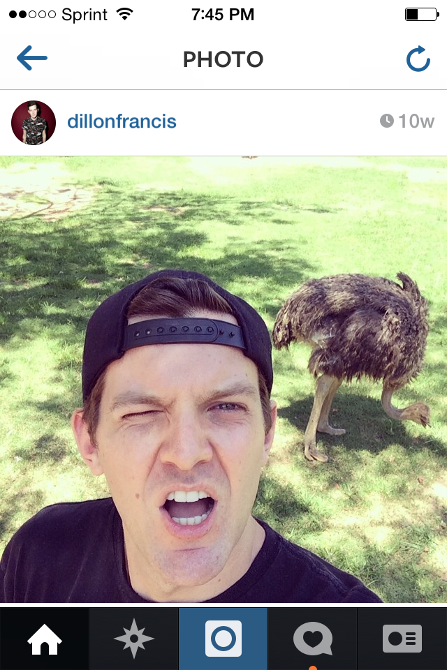 dillon francis ostrich