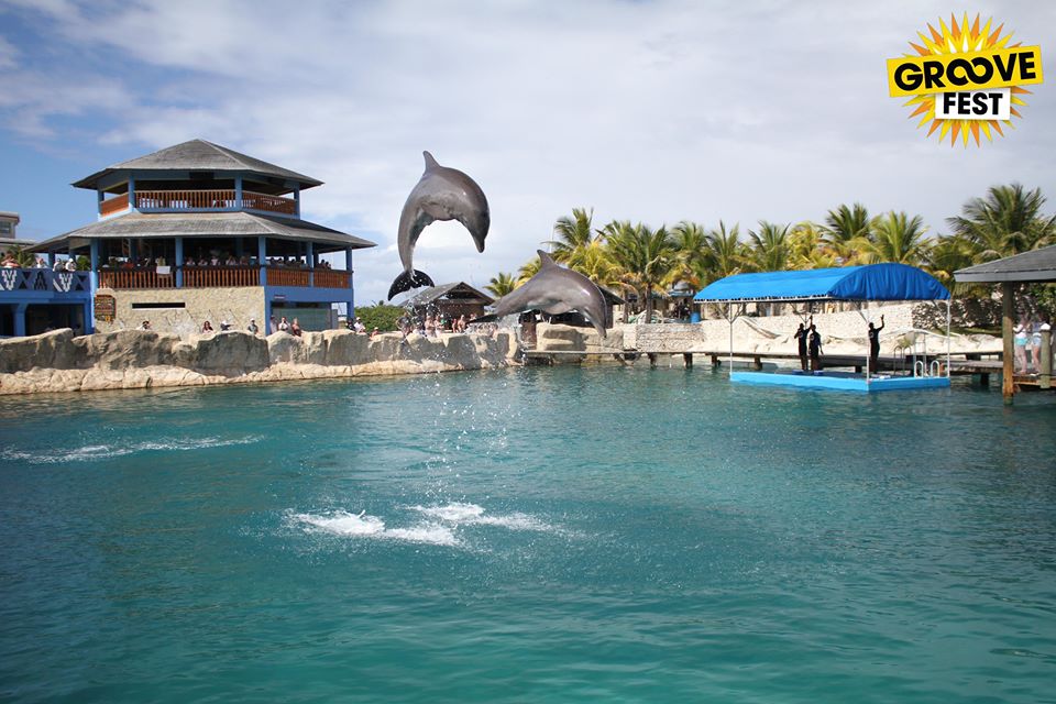 groove-fest-2014-ocean-world-adventure-park