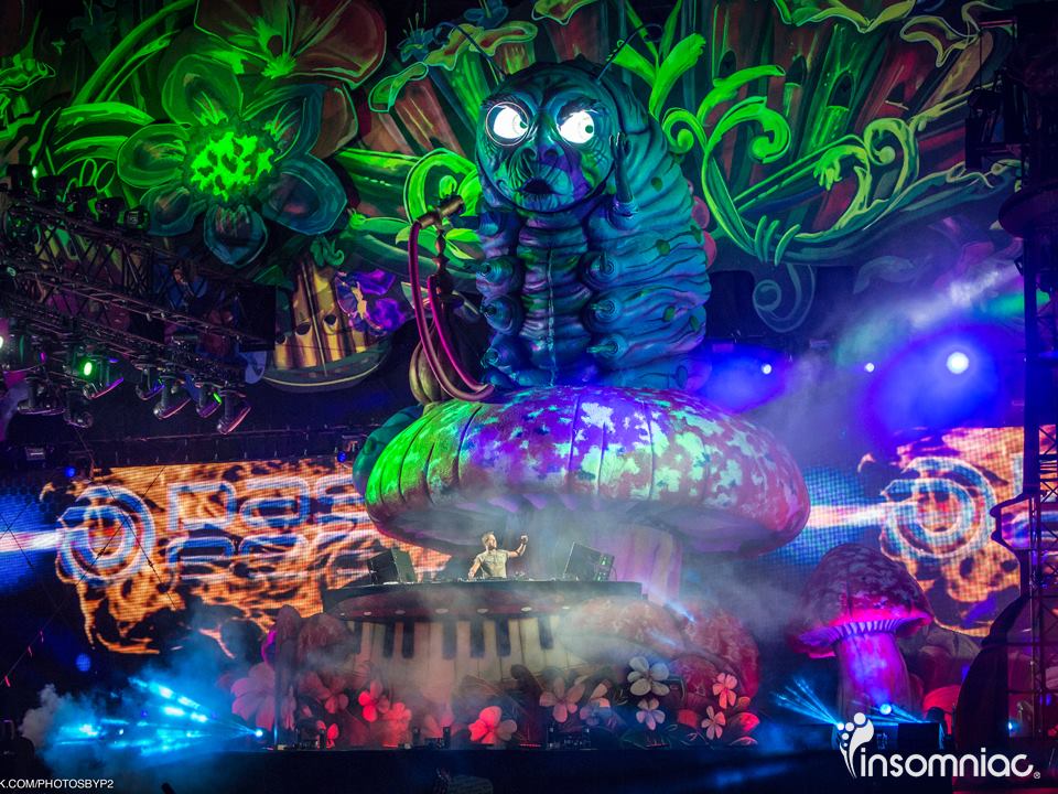 Beyond Wonderland