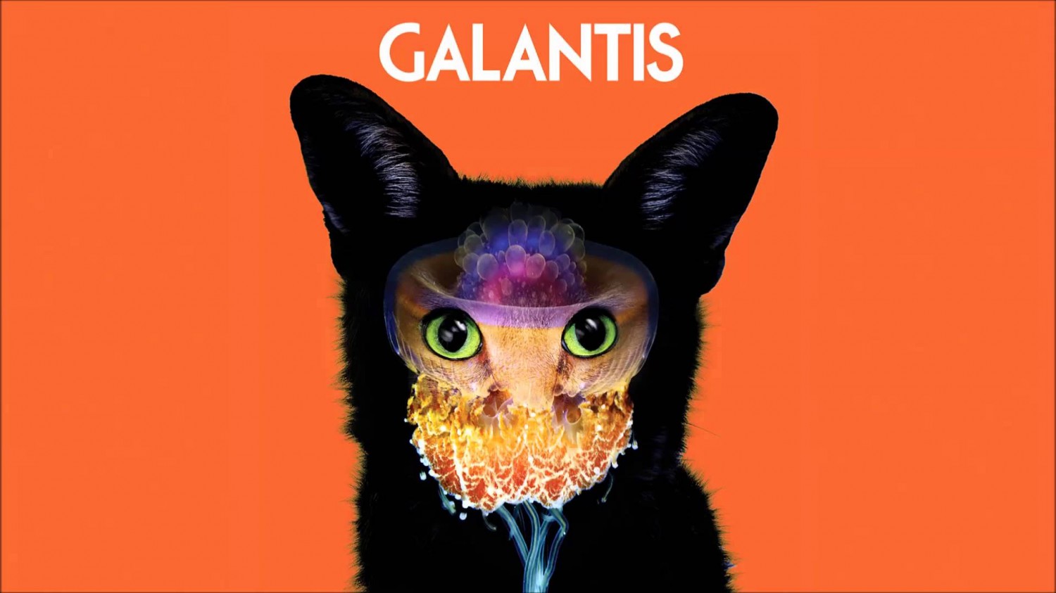 Artwork for "Help" by Galantis