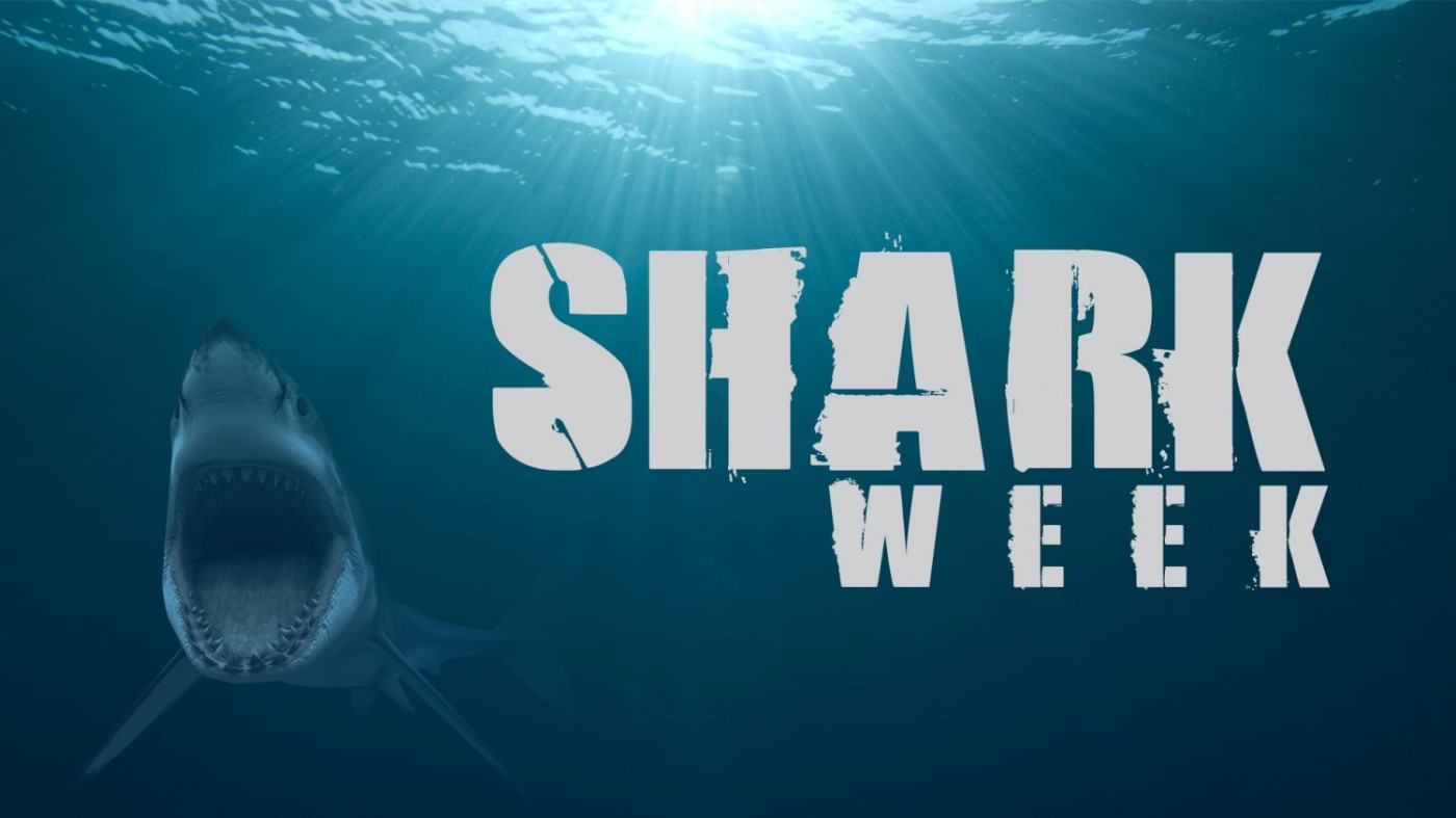 shark week nero me and you