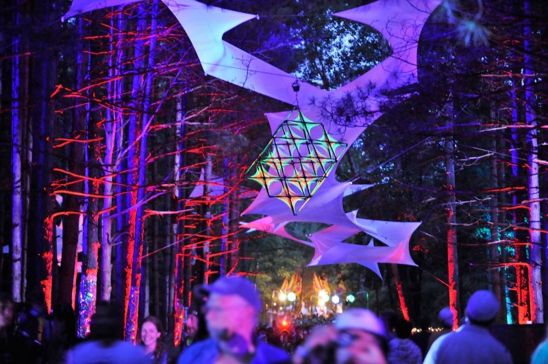 electric forest