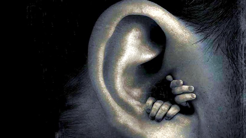 enter the dangerous mind