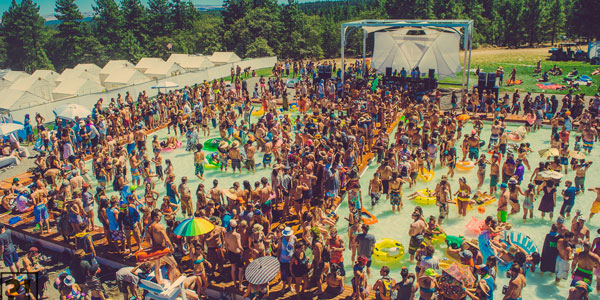 What the Festival, EDM, Volunteer, Festival