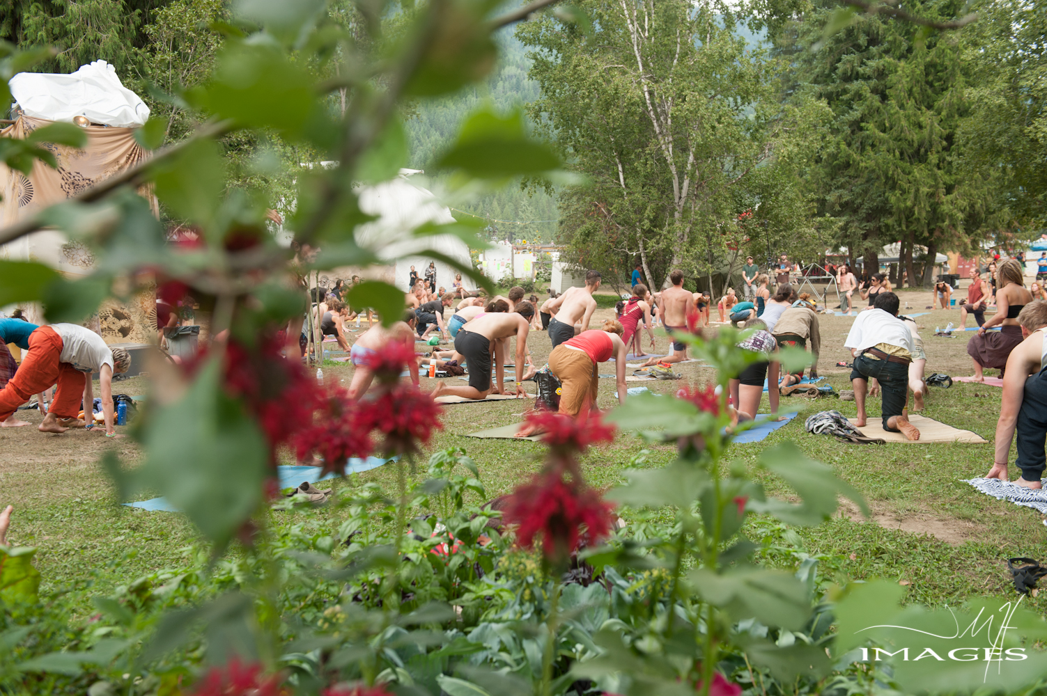 Photo: Joffrey Middleton-Hope