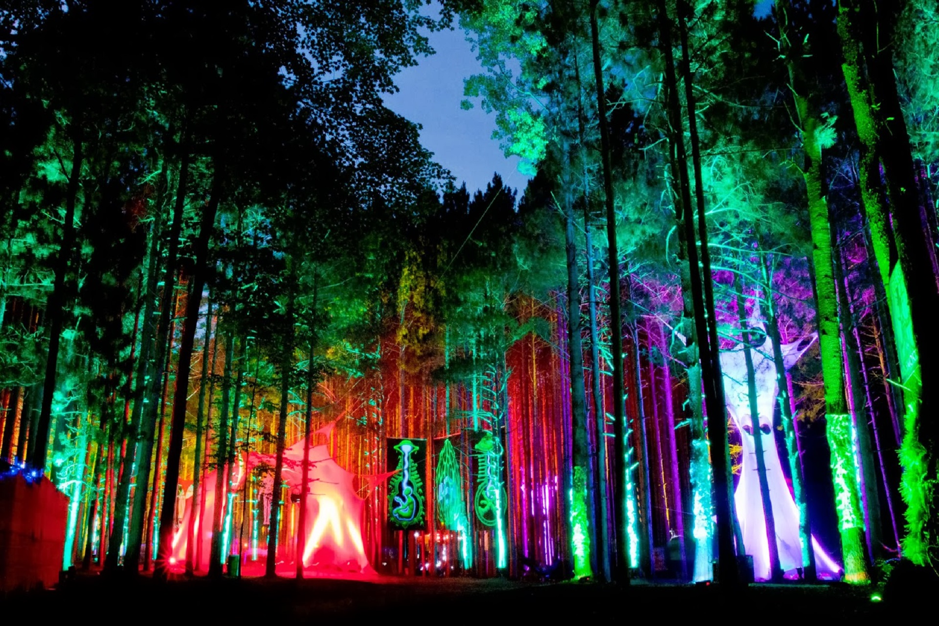 Electric Forest, Alcohol, 2016