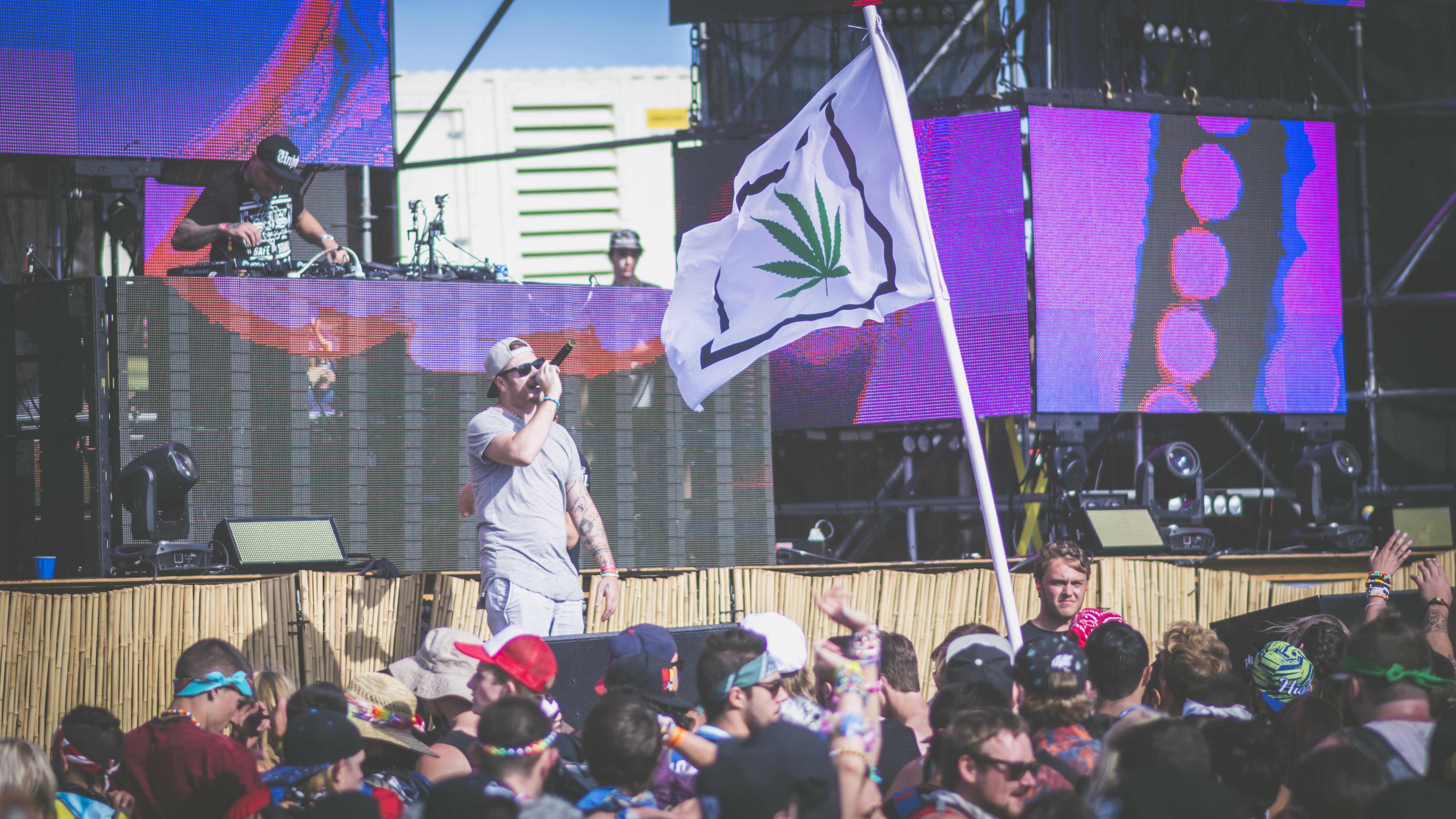 terravita paradiso pnw interview 2016