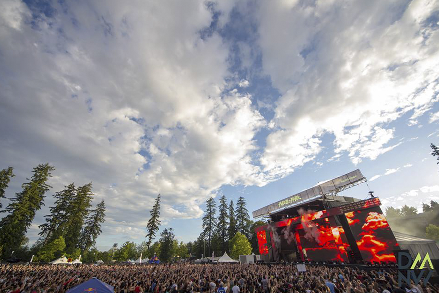 fvded in the park festival picture