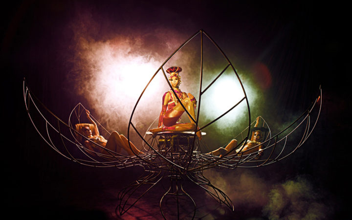 Lucient Dossier Experience