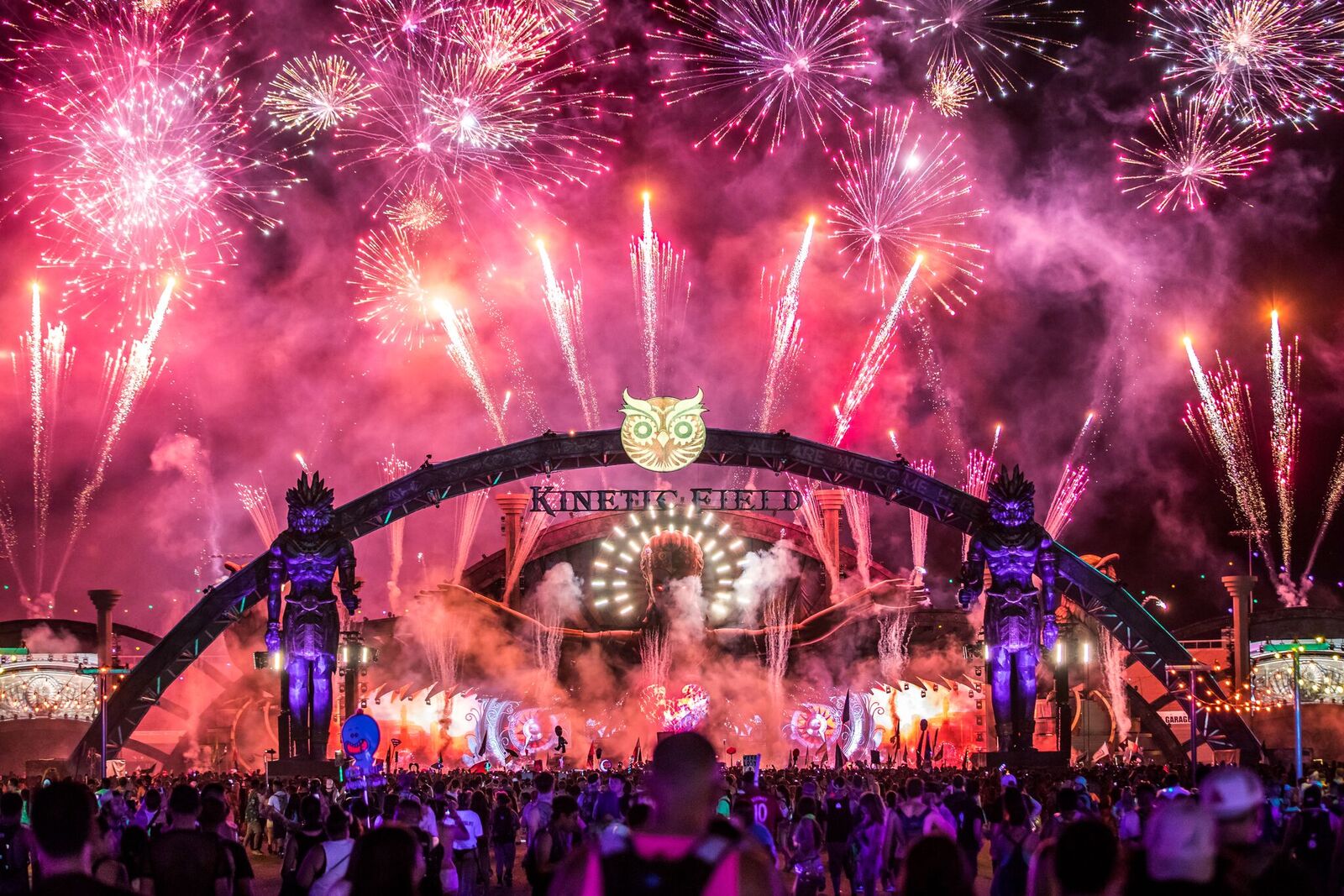 EDC Kinetic Field