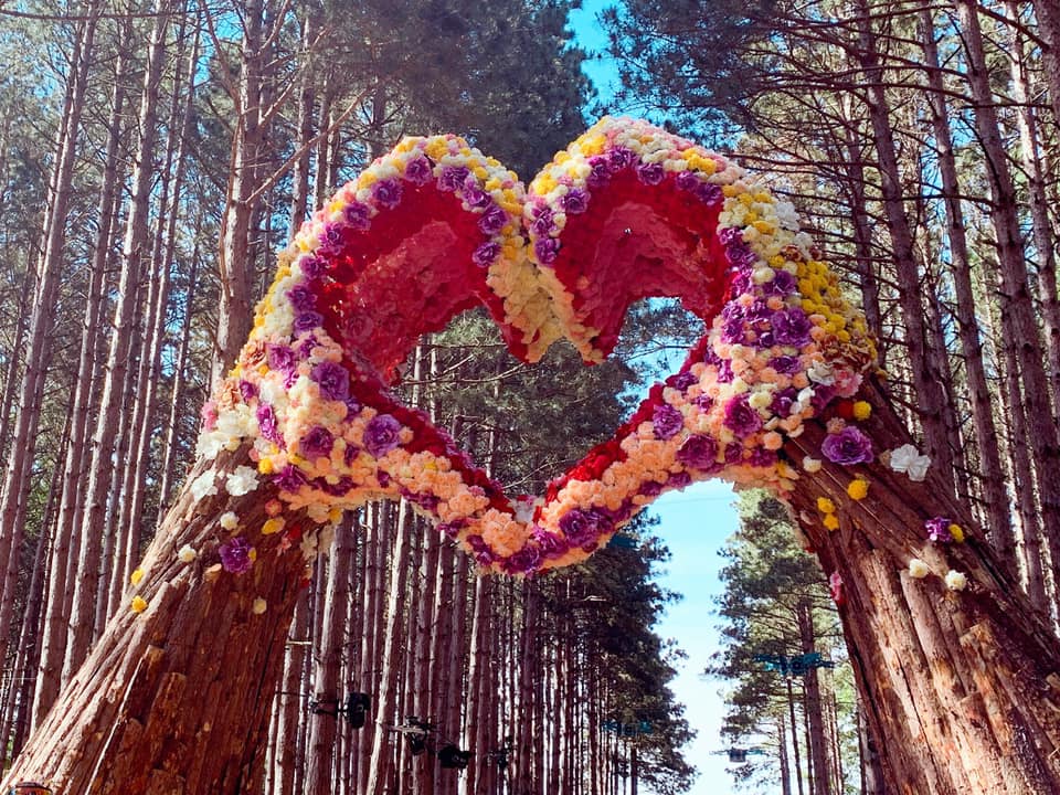 How Electric Forest Catalyzes Community Action with The Wish Machine -   - The Latest Electronic Dance Music News, Reviews & Artists