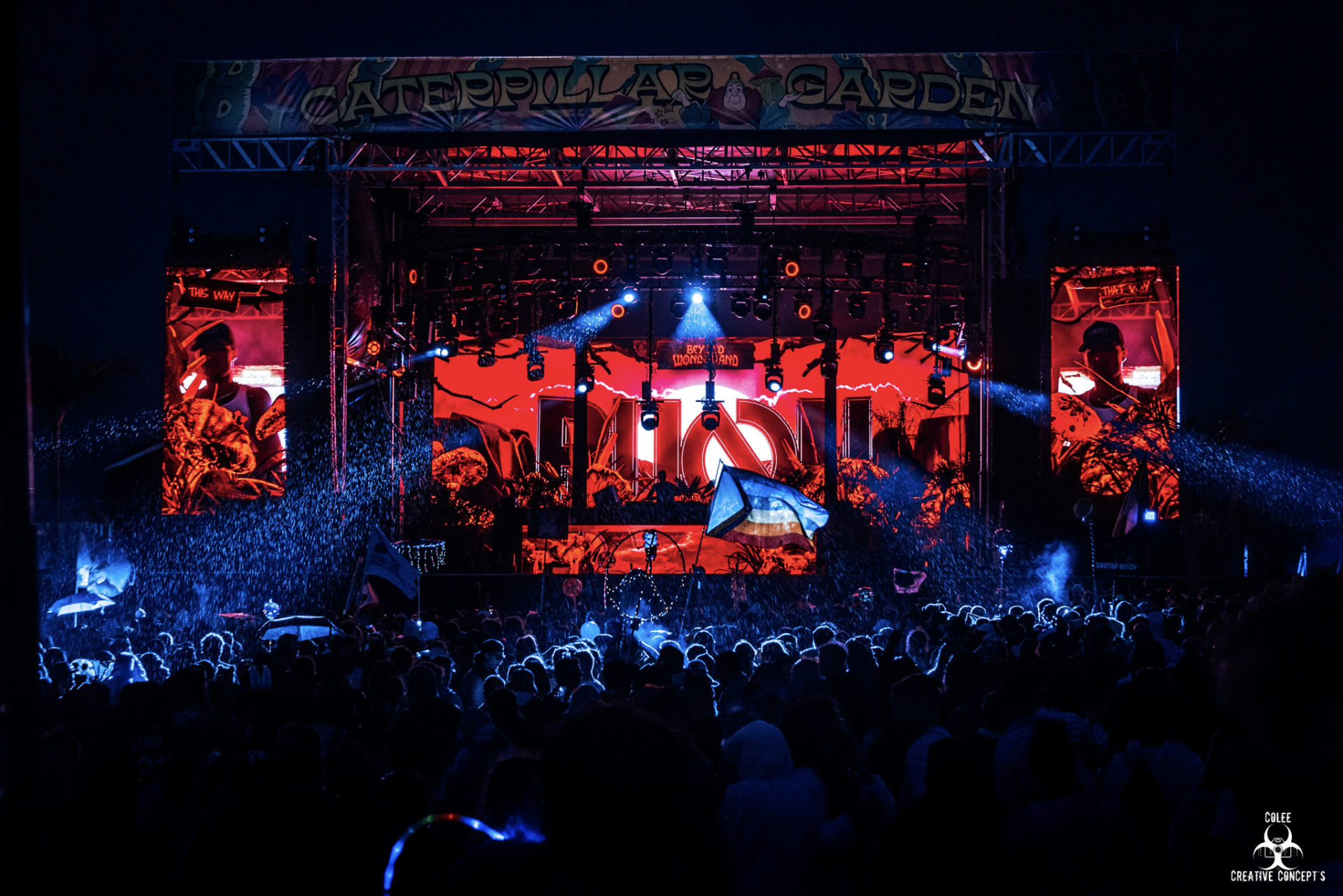 Beyond Wonderland in the Gorge