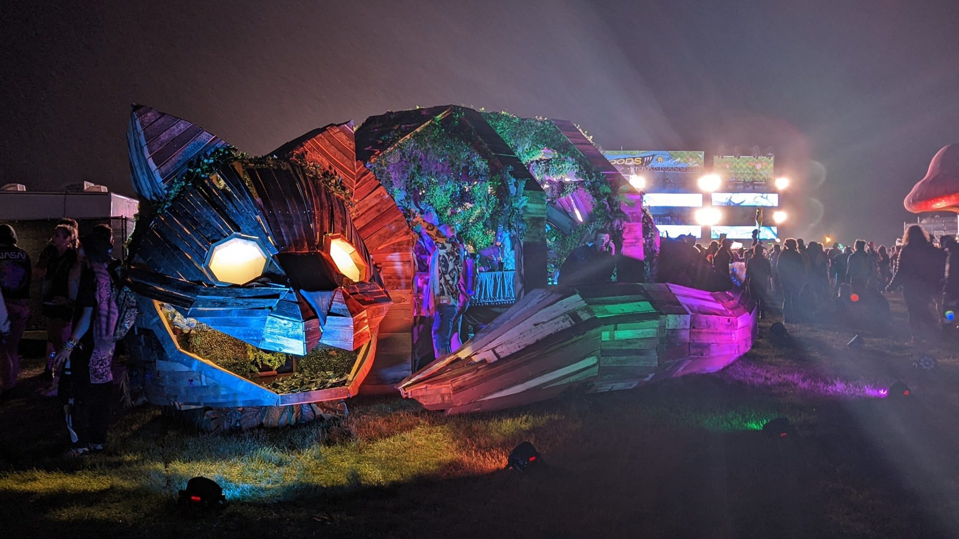 Beyond Wonderland At the Gorge