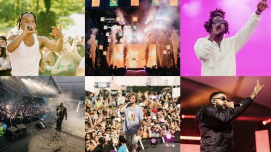 A collage of FVDED in the Park performances over the years in a square grid