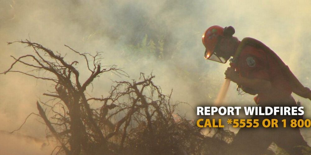 A firefighter is seen putting a wildfire out in British Columbia. Picture taken from the BC Wildfire Service Website.