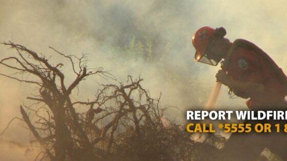 A firefighter is seen putting a wildfire out in British Columbia. Picture taken from the BC Wildfire Service Website.