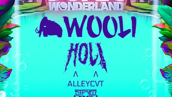 Foam wonderland Poster for Eugene Oregon with Wooli, Hol!, Alleycvt, stoned level, and Halv