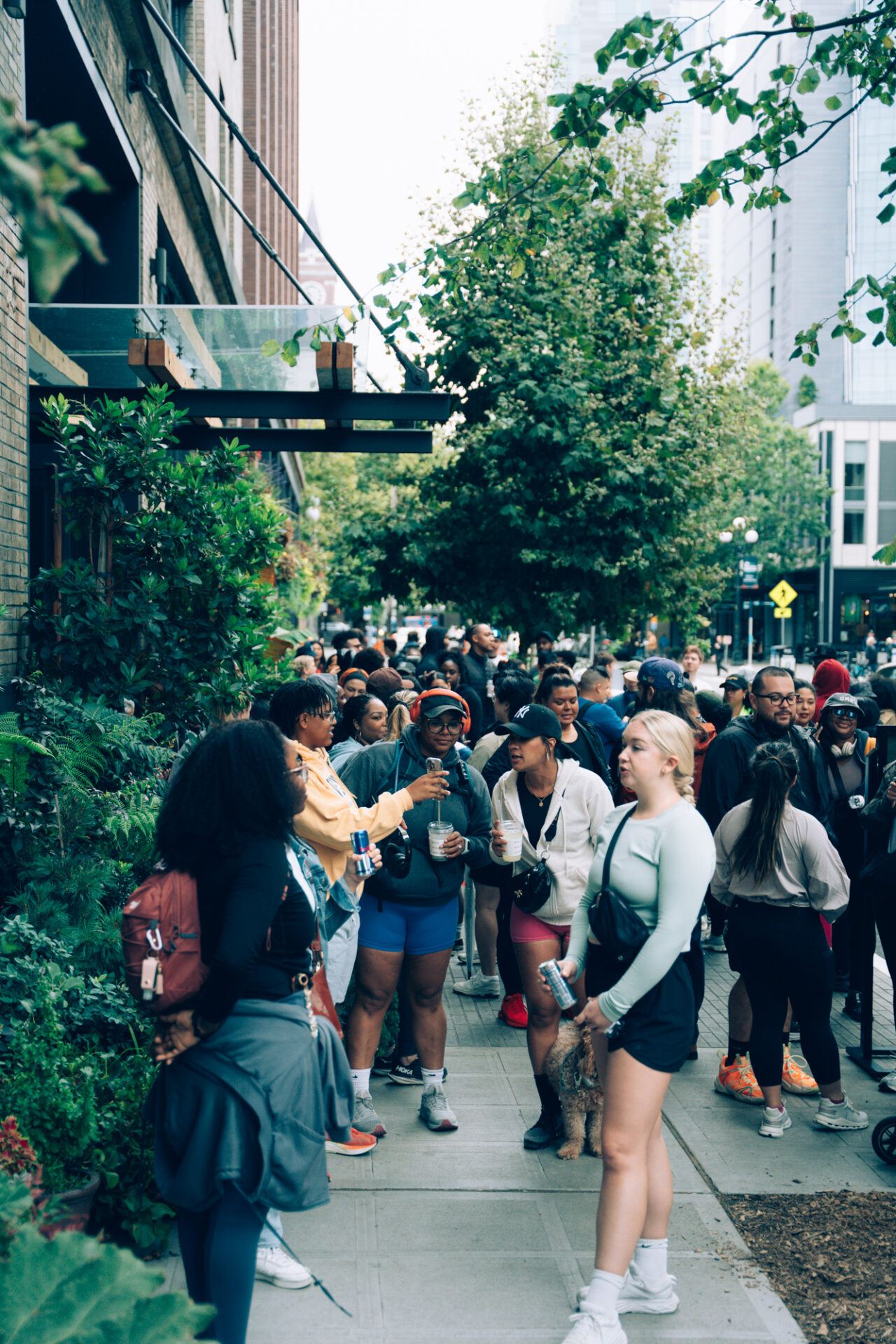 Walk Club participants walking through a Seattle city street lined by green trees