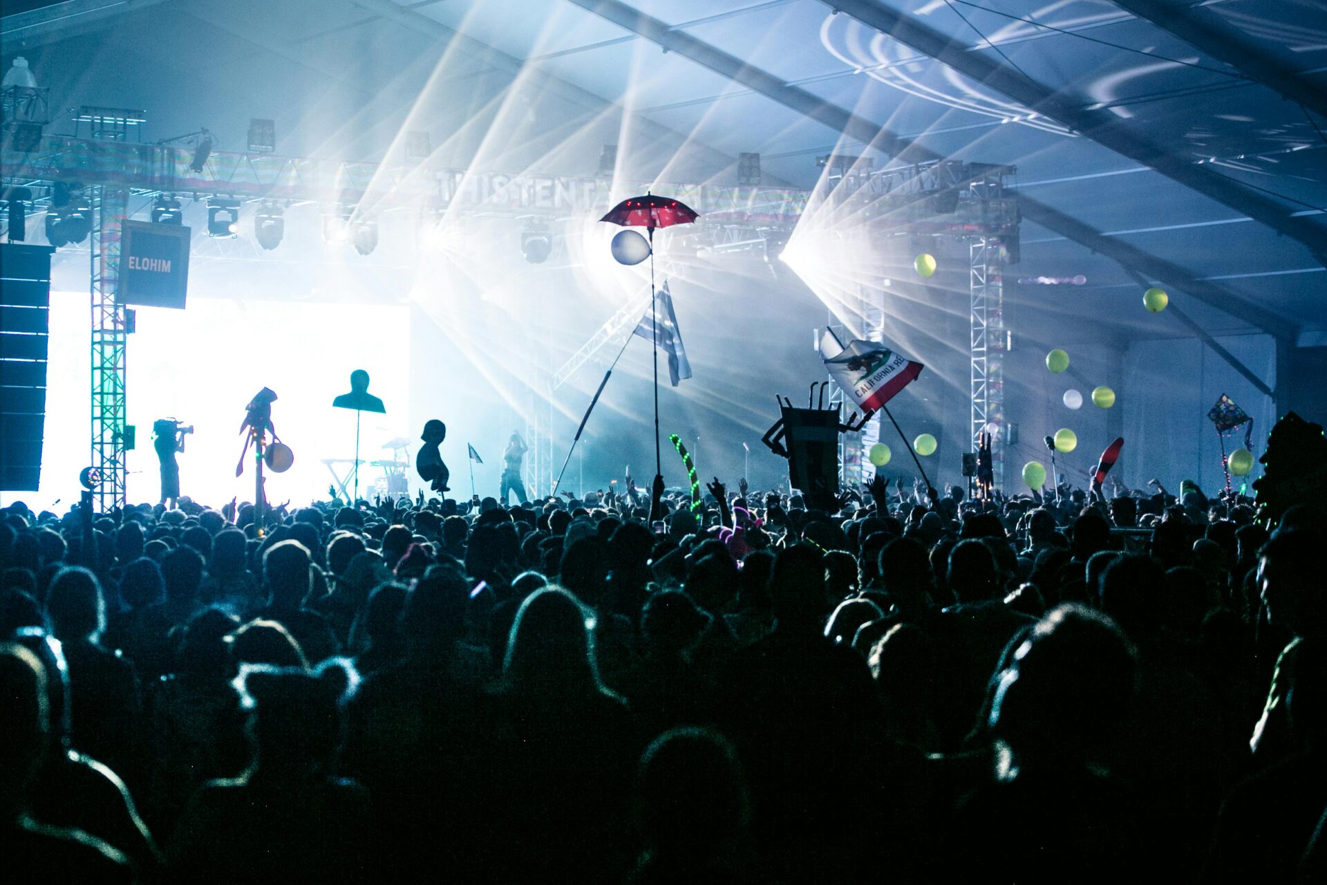The Bright Side of Rave Culture: Exploring Its Mental Health Benefits 12 Rave crowd with totems