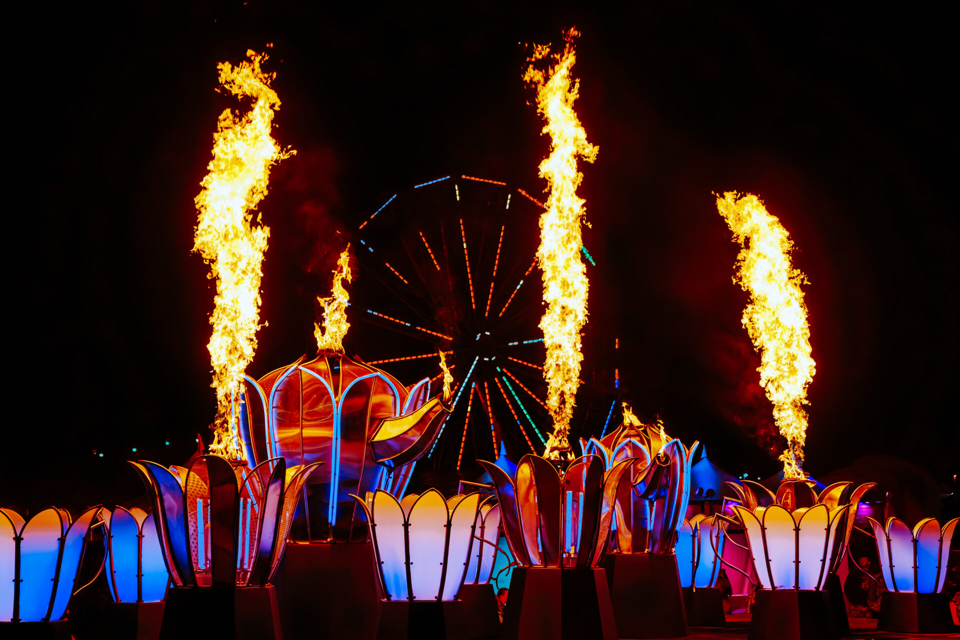 view of the teacup/flower fire art installation near Caterpillar's Garden