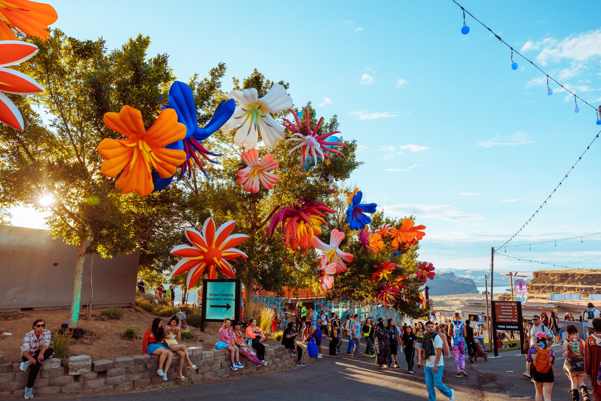 view of the flower art installations at the Gorge